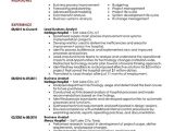 Professional Resume Templates Free Download Business Resume Templates Resume Builder