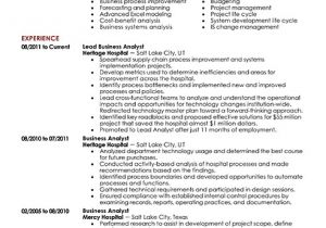 Professional Resume Templates Free Download Business Resume Templates Resume Builder