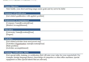 Professional Resume Templates Word Professional Resume Template Free Microsoft Word Templates