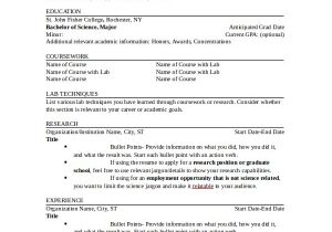 Professional Resume Templates Word Sample Resume 8 Examples In Word