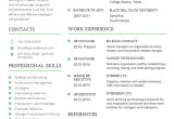 Professional Resume Word Template Professional Resume Template 60 Free Samples Examples