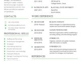 Professional Resume Word Template Professional Resume Template 60 Free Samples Examples