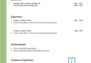Professional Resume Word Template Word Resume Templates 2016