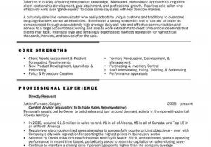 Professional Sales Resume 59 Best Images About Best Sales Resume Templates Samples