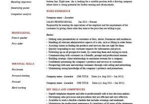 Professional Sales Resume Sales Professional Resume Example Sample Job