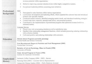 Professional Sales Resume Sales Professional Resume Examples Resumes for Sales