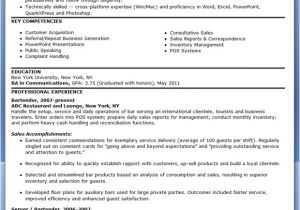 Professional Sales Resume Sample Sales Professional Resume Resume Downloads