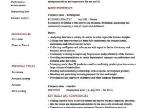 Professional Skills for Resume Business Analyst Resume Example Sample Professional
