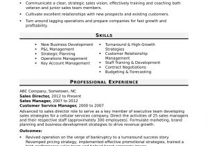 Professional Skills for Resume Sales Director Resume Sample Monster Com