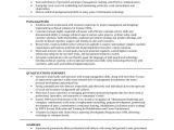Professional Summary for Resume Examples 8 Resume Summary Samples Examples Templates