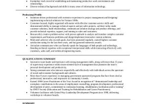 Professional Summary for Resume Examples 8 Resume Summary Samples Examples Templates