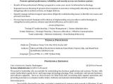 Professional Summary for Resume It Professional Resume Sample Monster Com