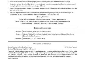 Professional Summary for Resume It Professional Resume Sample Monster Com