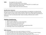 Professional Summary for Resume Professional Resume Example 7 Samples In Pdf