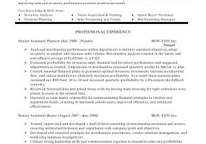 Professional Summary Resume Sample A Good Resume Summary What to Write In Professional