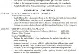 Professional Summary Resume Sample Professional Summary for Resume Whitneyport Daily Com