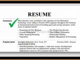 Professional Summary Resume Sample Professional Summary Resume Examples Example Of Resumes