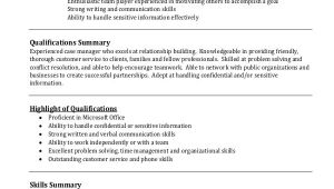Professional Summary Resume Sample Resume Examples Professional Summary Examples Of Resumes