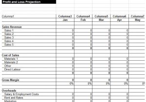 Profit and Losses Template 11 Profit and Loss Statements Free Templates Free