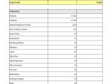 Profit and Losses Template 35 Profit and Loss Statement Templates forms
