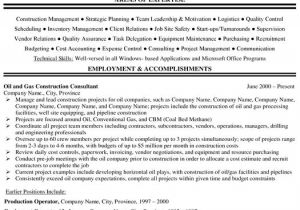 Project Engineer Resume Oil and Gas Project Manager Resume Sample Project Manager Resume
