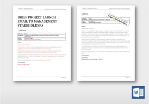 Project Management Email Templates Brief Project Launch Email to Management Stakeholders