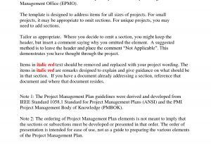 Project Management Proposal Template Doc Best Photos Of Sample Program Management Plans Project