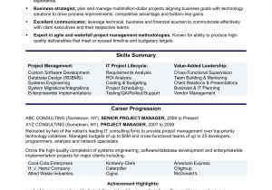 Project Management Resume Samples Experienced It Project Manager Resume Sample Monster Com