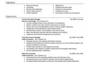 Project Manager Job Application Resume before You Apply for the Job Look at A Professional
