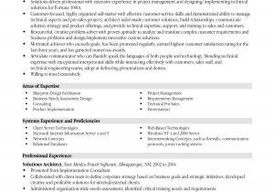 Project Manager Objective Resume Samples Resume Templates Project Manager Project Management