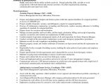 Property Manager Resume Sample Commercial Property Manager Resume