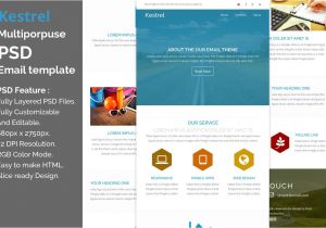 Psd to HTML Email Template Kestrel Psd Email Template Other Platform Email