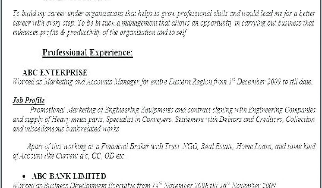 Public Adjuster Contract Template Amazing Loan Adjuster Cover Letter