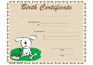 Puppy Certificate Templates 18 Birth Certificate Templates to Download Sample Templates