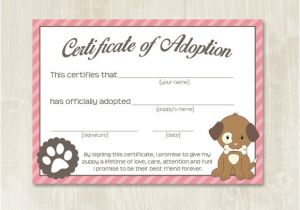 Puppy Certificate Templates 19 Sample Adoption Certificates Sample Templates