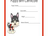 Puppy Certificate Templates 43 Sample Certificates Sample Templates