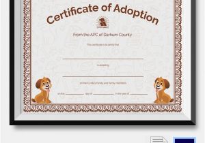 Puppy Certificate Templates Adoption Certificate Template 12 Free Pdf Psd format