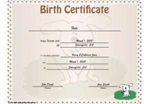Puppy Certificate Templates Free Puppy Birth Certificates Video Search Engine at