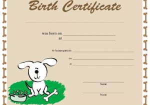 Puppy Certificate Templates Puppy Birth Certificate Template Free Puppy Birth