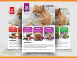 Puppy for Sale Flyer Templates Puppies for Sale Flyer Template Arts Arts