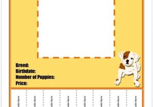 Puppy for Sale Flyer Templates Puppies for Sale Flyer Template Template Pinterest