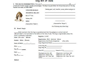 Puppy Receipt Template Dog Bill Of Sale 8 Free Sample Example format