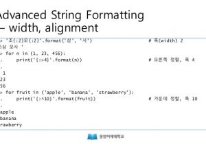 Python String Template Python 표준 라이브러리