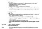 Qa Engineer Resume Qa Engineer Senior Resume Samples Velvet Jobs