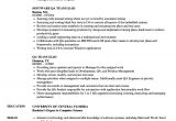 Qa Lead Resume Sample Qa Team Lead Resume Samples Velvet Jobs