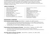 Qa Manager Resume Sample Create software Qa Manager Resume Sample Ideas Collection