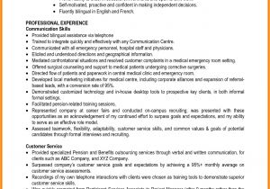 Qualification Summary for Student Resume 6 Summary Of Qualification Resume Examples Ledger Review