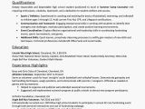 Qualifications for High School Student Resume Resume Skills for High School Students with Examples
