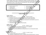 Quality Engineer Resume Doc Download the Quality Engineer Resume Sample Three In Pdf