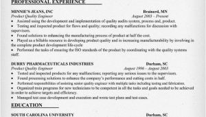 Quality Engineer Resume Model Quality Engineering Resume Sample Resumecompanion Com